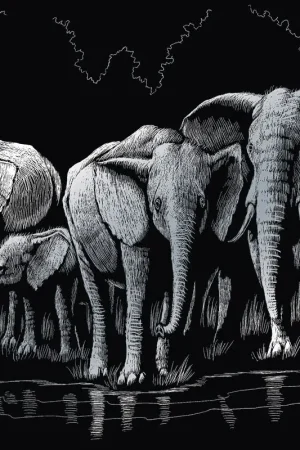 Carte à gratter « Eléphants » Marque