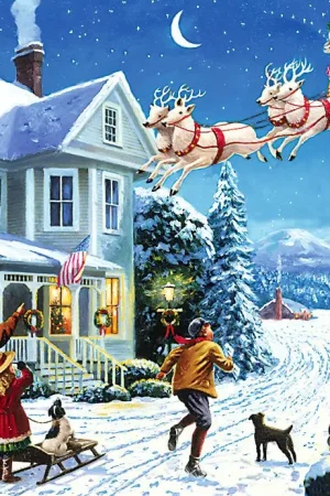 Adult Large « Santa Claus » Vente Directe