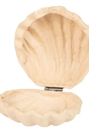 Boîte coquillage, papier mâché Offre Spéciale