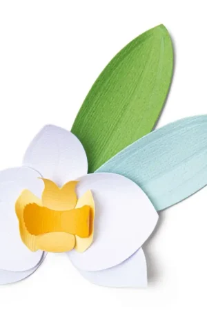 Jusqu'à Épuisement Des Stocks Gabarit d’estampe Sizzix Thinlits « Orchid »