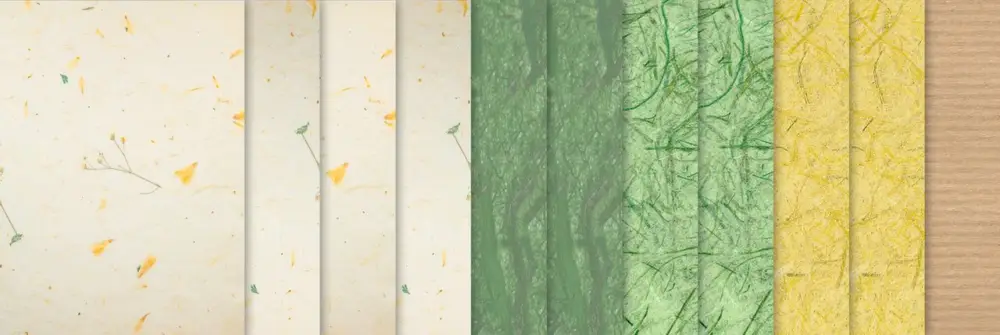 Certifié Papiers naturels « Daisy »