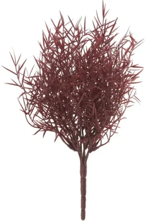 Commander Vite Bouquet d'asparagus « Sprengeri »