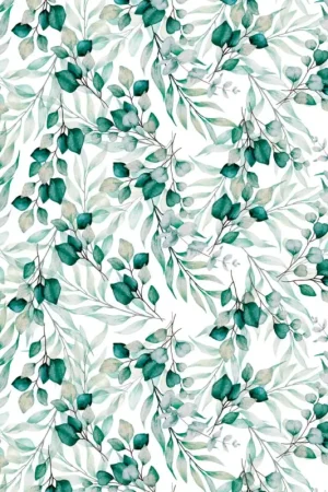 Papier transparent « Eucalyptus » Remise