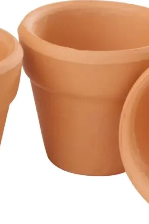 Seulement Aujourd'hui Pots de fleurs miniatures