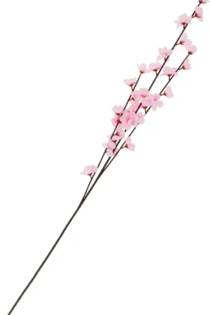Branche de fleurs de pommier Produit De Marque