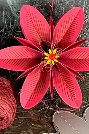 Nouveauté Gabarit de découpe pour fleurs à plier « L »