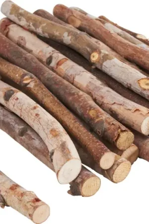Nouvelle Collection Branches de bouleau, 20 pc.