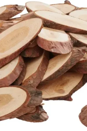 Assortiment de rondelles d'écorce VBS « Ovale » Achat Immédiat