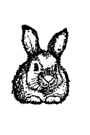 Remise Tampon en bois « Petit lapin »