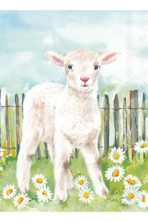 Usine Directe Serviette « Petit agneau dans la prairie »