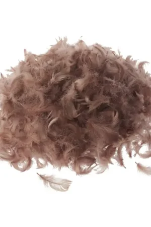 Plumes d'oie Pas Cher