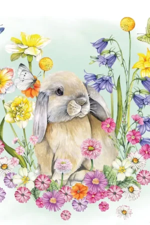 Serviette « Petit lapin » Achetez Aujourd'hui