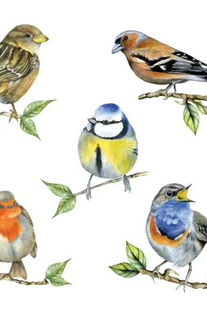 Serviette « Oiseaux indigènes » Petit Prix