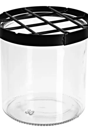 Super Prix Vase en verre à grille pique-fleurs