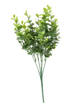 Nouvelle Collection Pique d’eucalyptus « Mia »