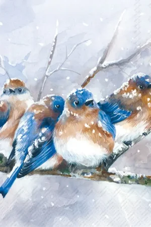 Serviette « Cuddly Birdies » Meilleur Choix