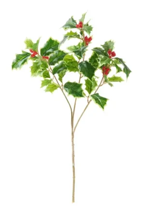 Branche de houx « Green » et baies, L 40 cm Prix Cassé