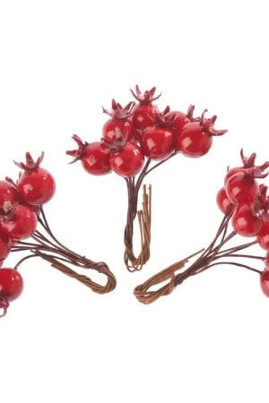 Piques de cynorrhodon, 3 pc., L 10 cm Prix Bas