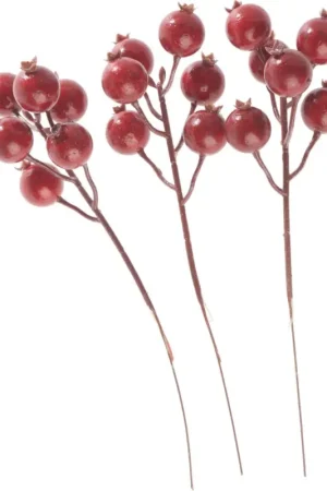 Soldes Bouquet d'églantines, Rouge