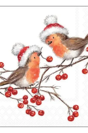 Offre Du Jour Serviette « Christmas Robins »
