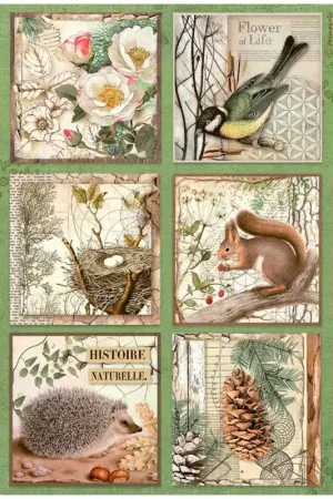 Expédition Rapide Soie de paille à motifs « Forest »