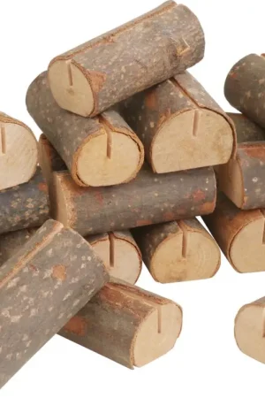 Marque-places VBS « Rondin de bois » Seulement Aujourd'hui