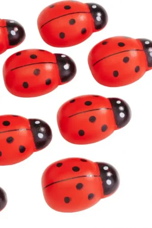 Coccinelles en bois VBS « Maxi », 10 pc. Remise