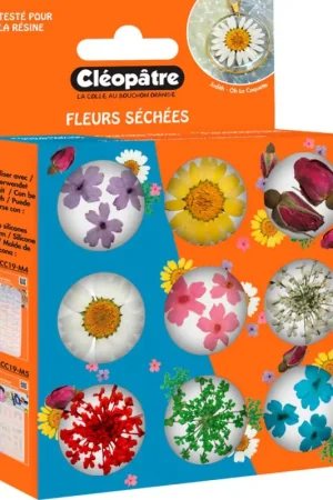 Solde Assortiment de fleurs séchées, 9 pots