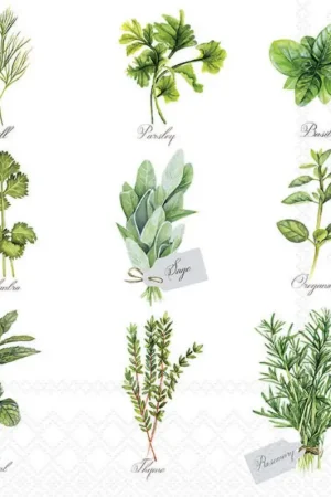 Jusqu'à Épuisement Des Stocks Serviette « Sélection d'herbes aromatiques »