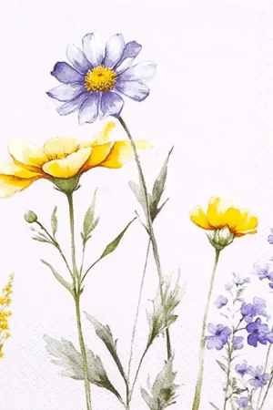 Meilleur Prix Serviette « Méli-mélo de fleurs »