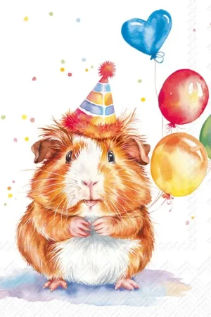 Offre Exclusive Serviette « L'anniversaire de Kalli »