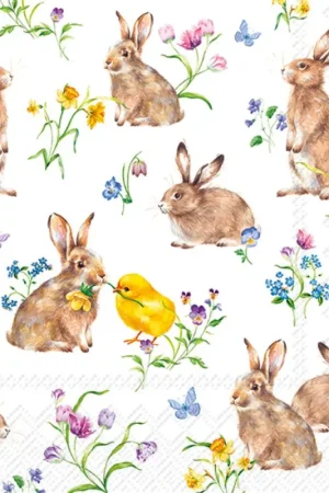 Prix Cassé Serviette « Petit lapin et poussin »
