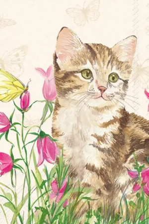 Serviette « Minka le chat » Super Prix
