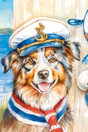 Meilleure Vente Serviette « Captain Jack »