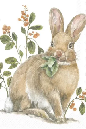 Nouveauté Serviette « Lapin de jardin »
