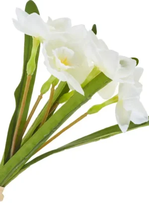 Offre Limitée Bouquet de narcisses