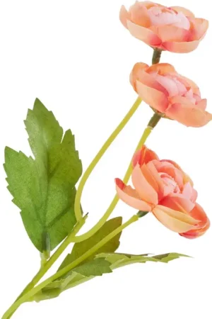 Pique de renoncule à 3 fleurs Remise