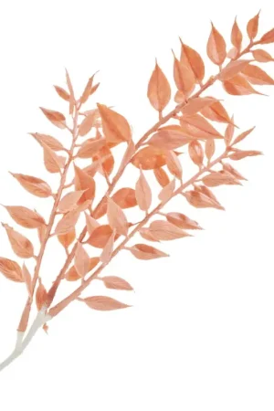 Pique de ruscus Nouvel Arrivage