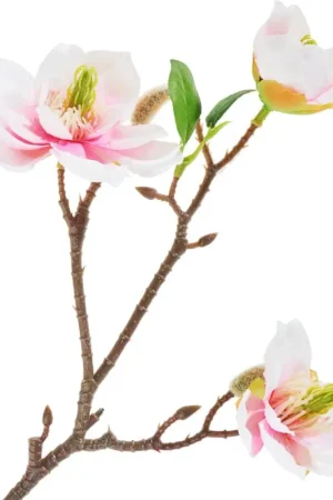 Pique de magnolia à 3 fleurs Achetez Aujourd'hui