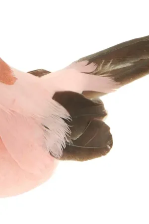 Offre Limitée « Oiseau à clip » Rico Design