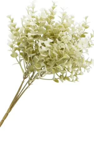 Promotion Tige de buis « Evergreen »