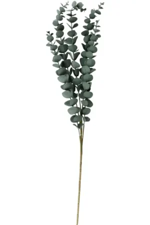 Paiement Sécurisé Branche d'eucalyptus "Evergreen"