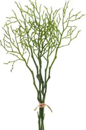 Branche de myrtille, 3 pièces Prix Promo