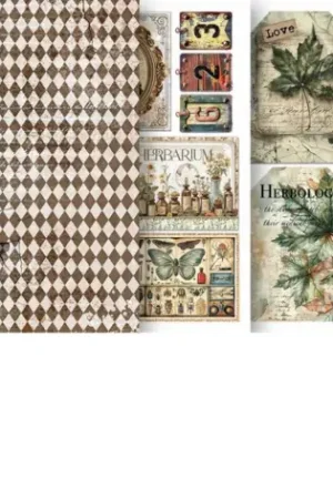 Nouvel Arrivage Papier vitrail à motifs « Cabinet of Curiosities »