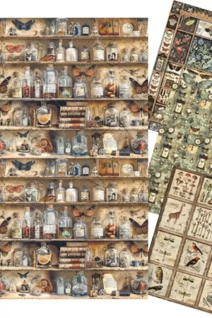 Assortiment de soies de paille à motifs « Cabinet of Curiosities », set de 4 Prix Réduit