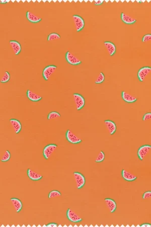 Tissu jersey au mètre Néon « Pastèque » Remise
