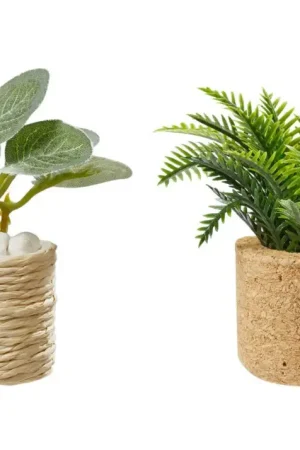 Commande En Gros Set miniature « Plantes d'intérieur »