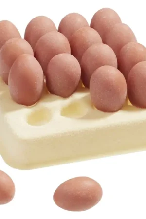 Meilleur Choix Palette d'œufs miniatures