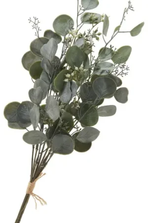 Bouquet d'eucalyptus « Ella » Populaire
