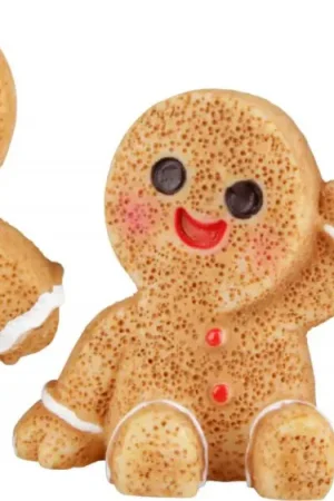 Affaire À Saisir Bonshommes en pain d'épice miniatures « Cookie »